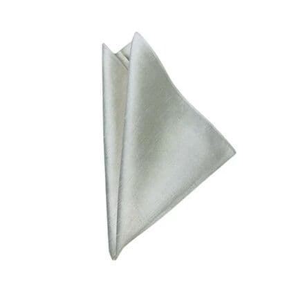 Dupioni Bone napkin rental