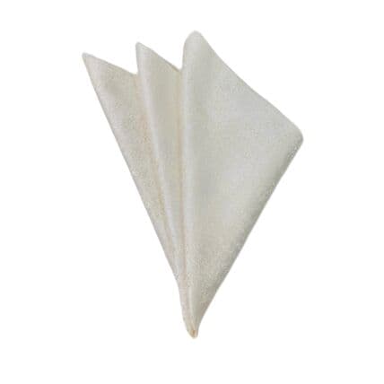 Indira Ivory null napkin rental