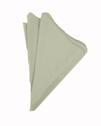 Polyester Willow napkin rental