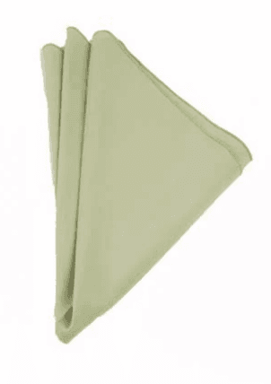 Polyester Light Green napkin rental